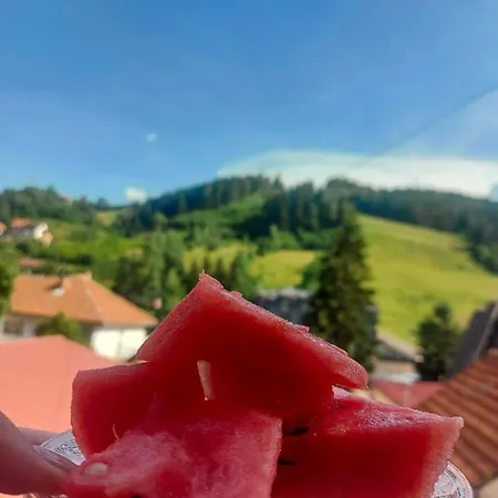 Zlatar Duplex Lägenhet *